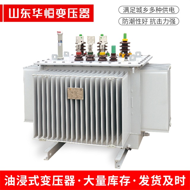 S13-10000/35桐柏桐柏桐柏电力变压器